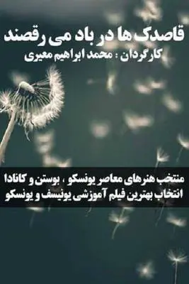 قاصدک ها در باد می رقصند